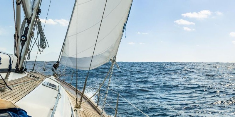 Organisatie en beleid